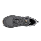 Souliers de randonnée Lowa Innox EVO II GTX Low (hommes)