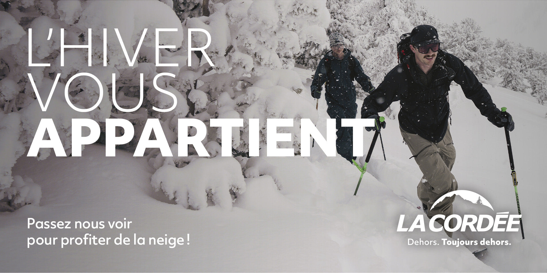 DIVERGE 4 SPORT ALLOY - CUES – La Cordée