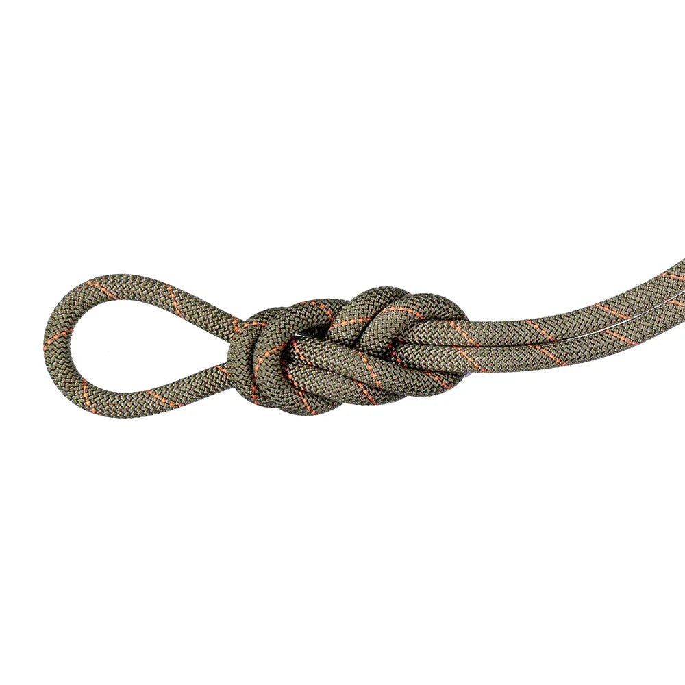 Mammut 9.9 Gym Workhorse Classic Rope – 40 m