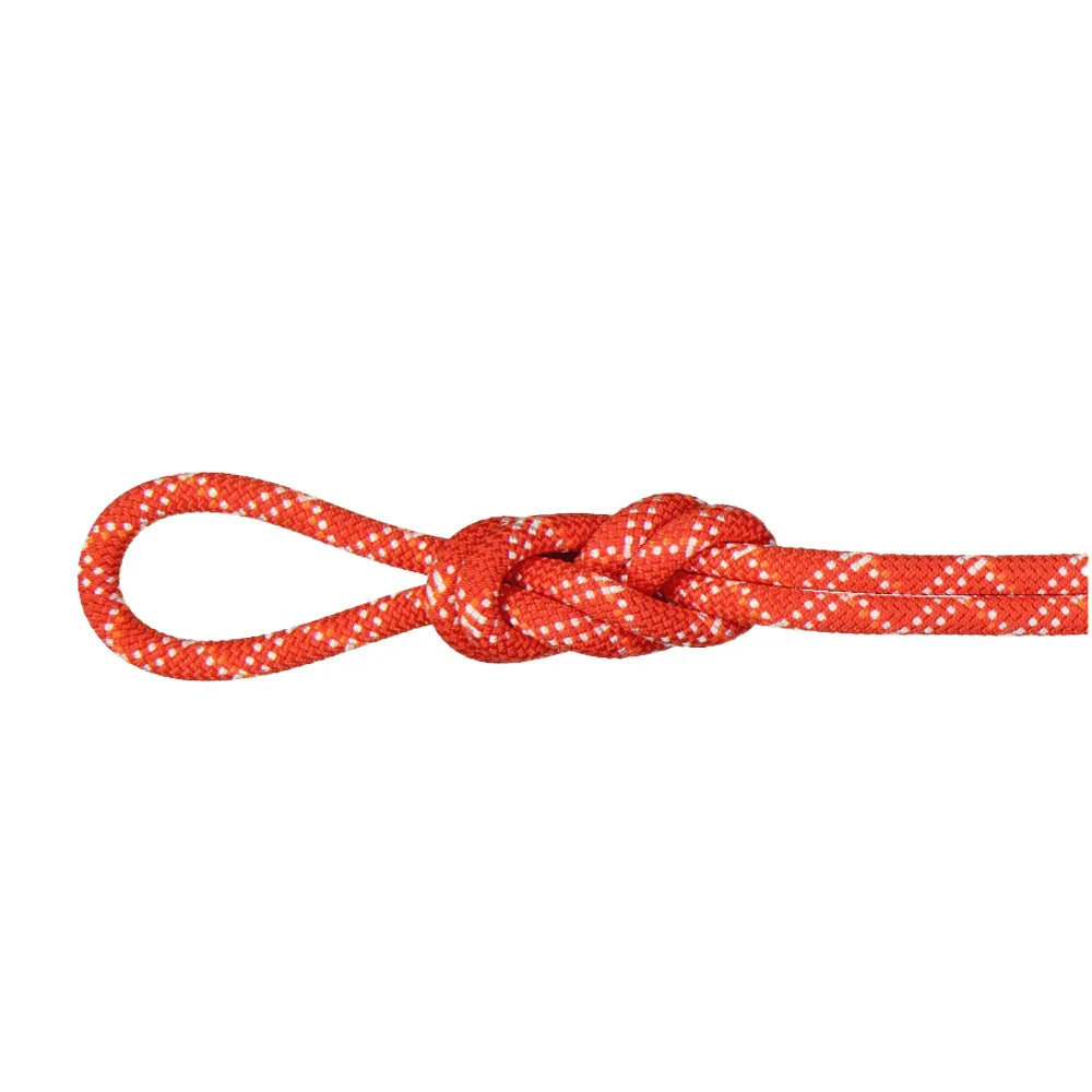 Corde d'escalade Mammut 9.5 Gym Classic– 40 m