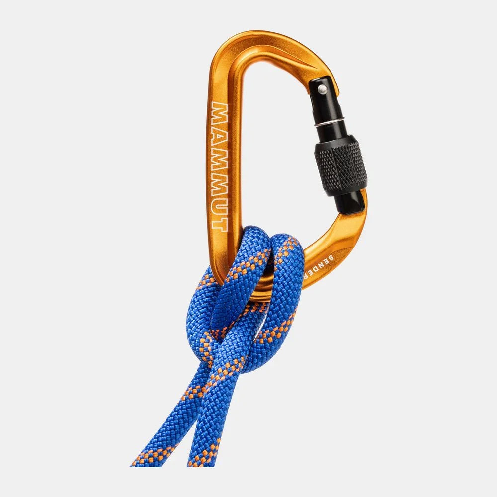 Mousqueton à vis Mammut Sender Screwgate