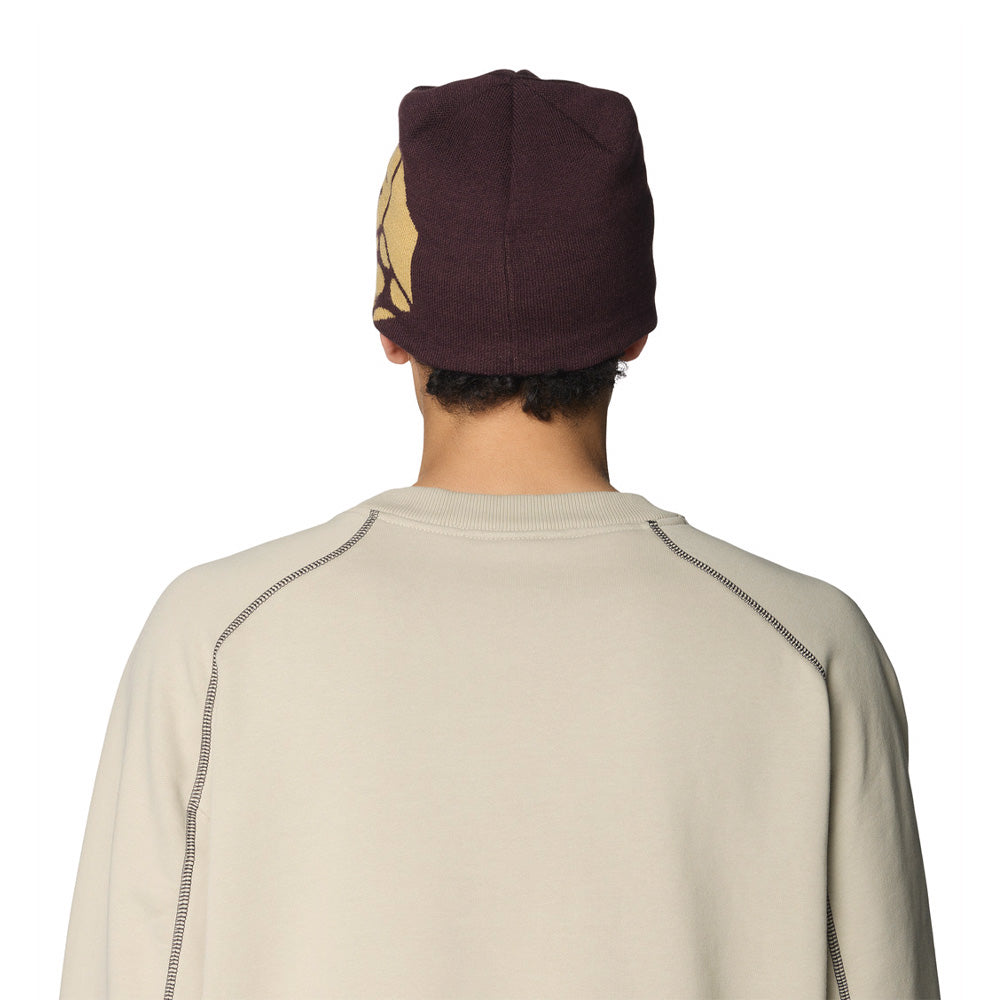 Mountain Hardwear Caelum Dome Beanie