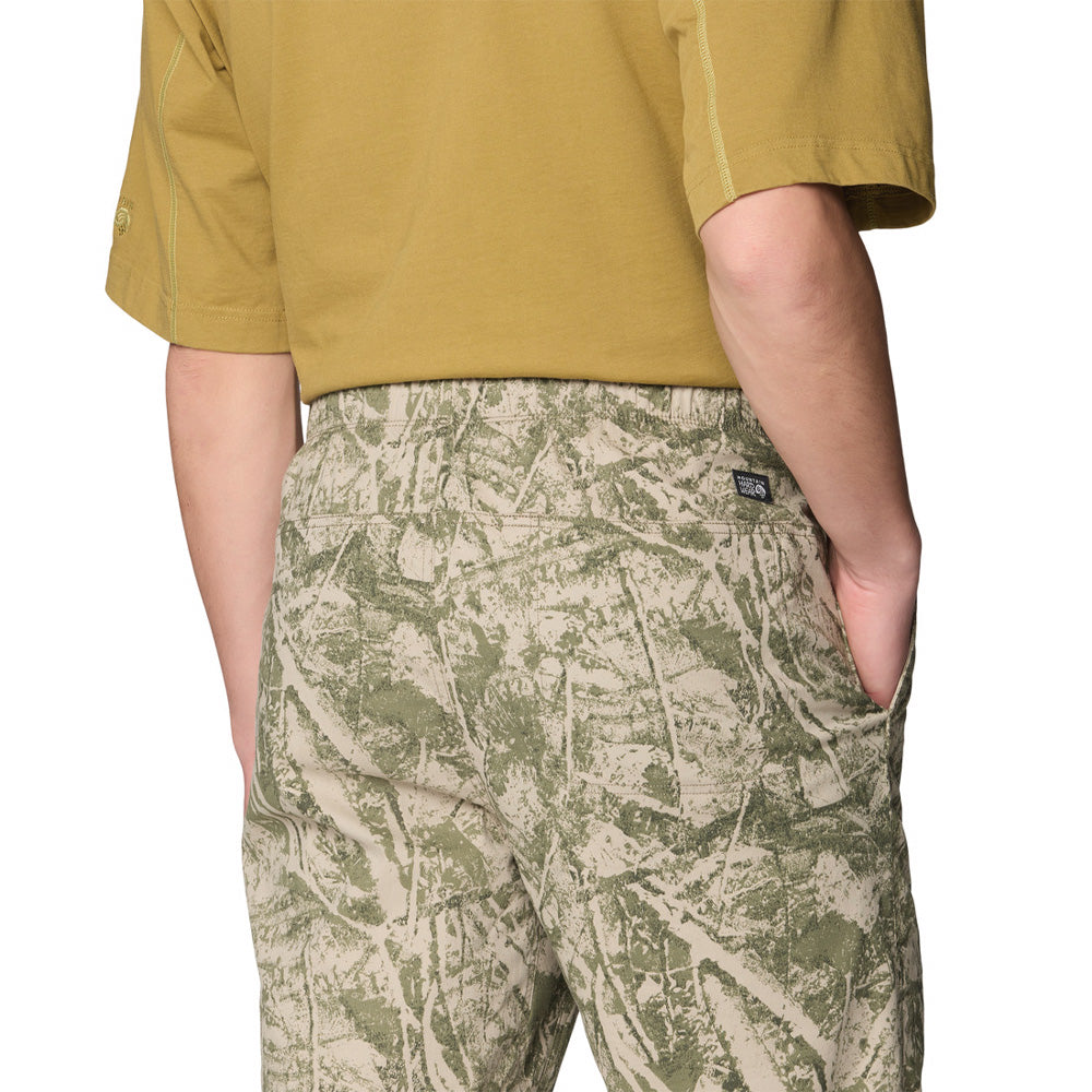 Pantalon Mountain Hardwear Rockrydge (hommes)
