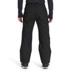 Pantalon de neige The North Face Seymore (hommes)
