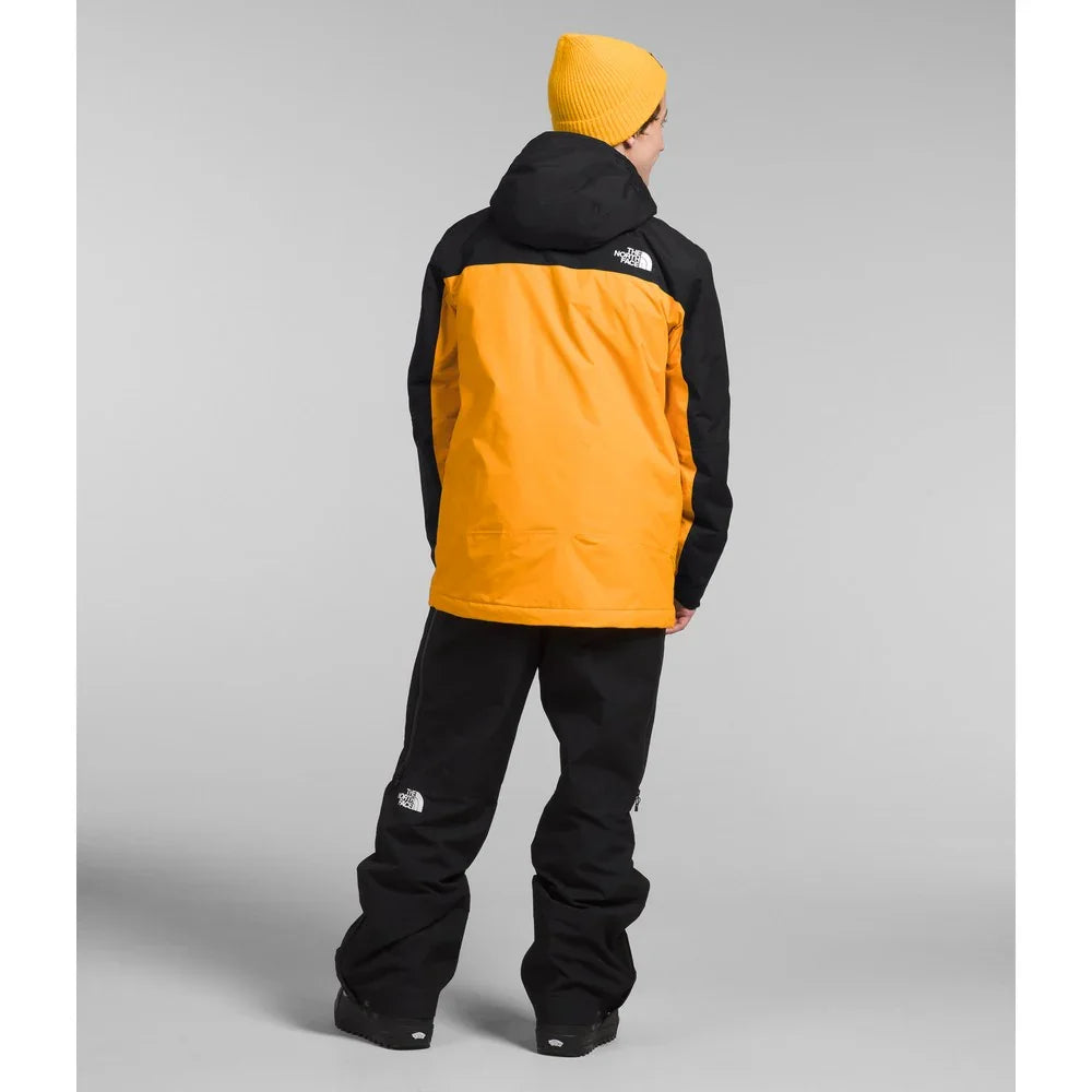 The North Face M's Freedom Insulated Jacket