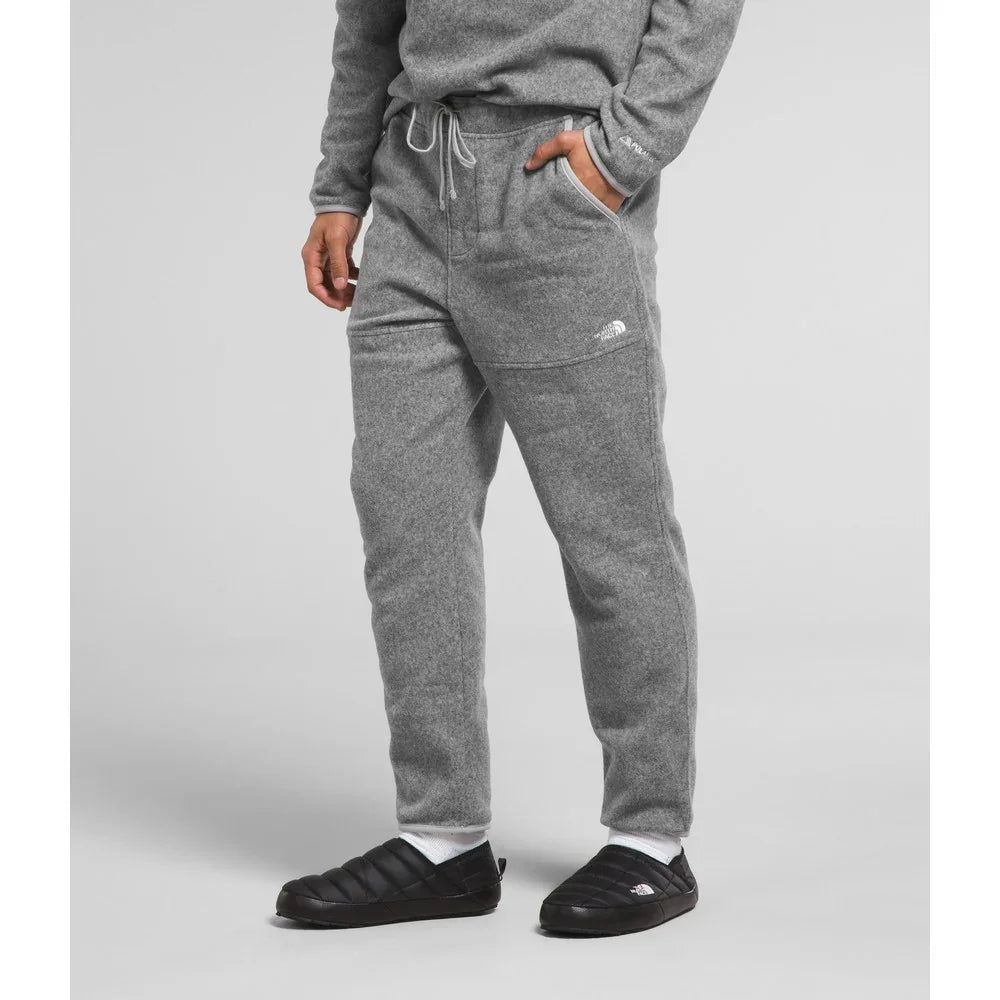 Pantalon en laine polaire The North Face Alpine Polartec 100 (hommes)