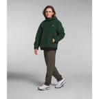 Chandail à capuchon en laine polaire The North Face Campshire (hommes)