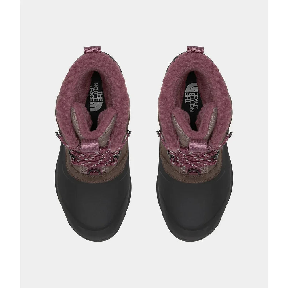 Bottes The North Face Chilkat 400 (femmes)