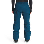 Pantalon de neige The North Face Freedom (hommes)