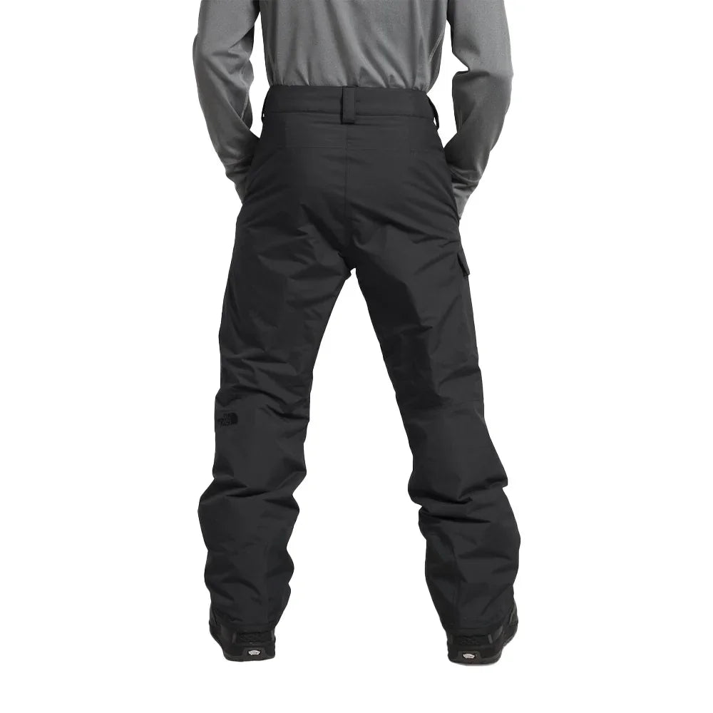 Pantalon de neige The North Face Freedom (hommes)