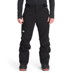 Pantalon de neige The North Face Freedom (hommes)