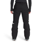 Pantalon de neige The North Face Freedom (hommes)