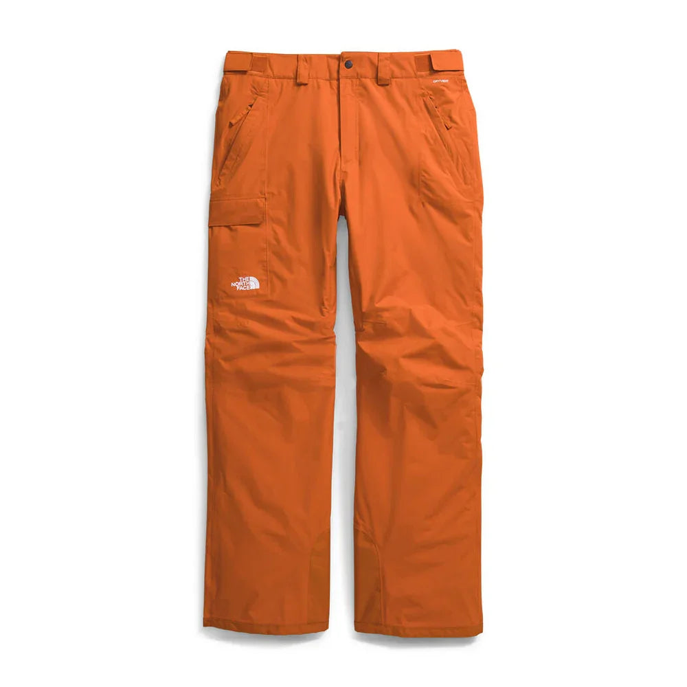 Pantalon de neige The North Face Freedom (hommes)