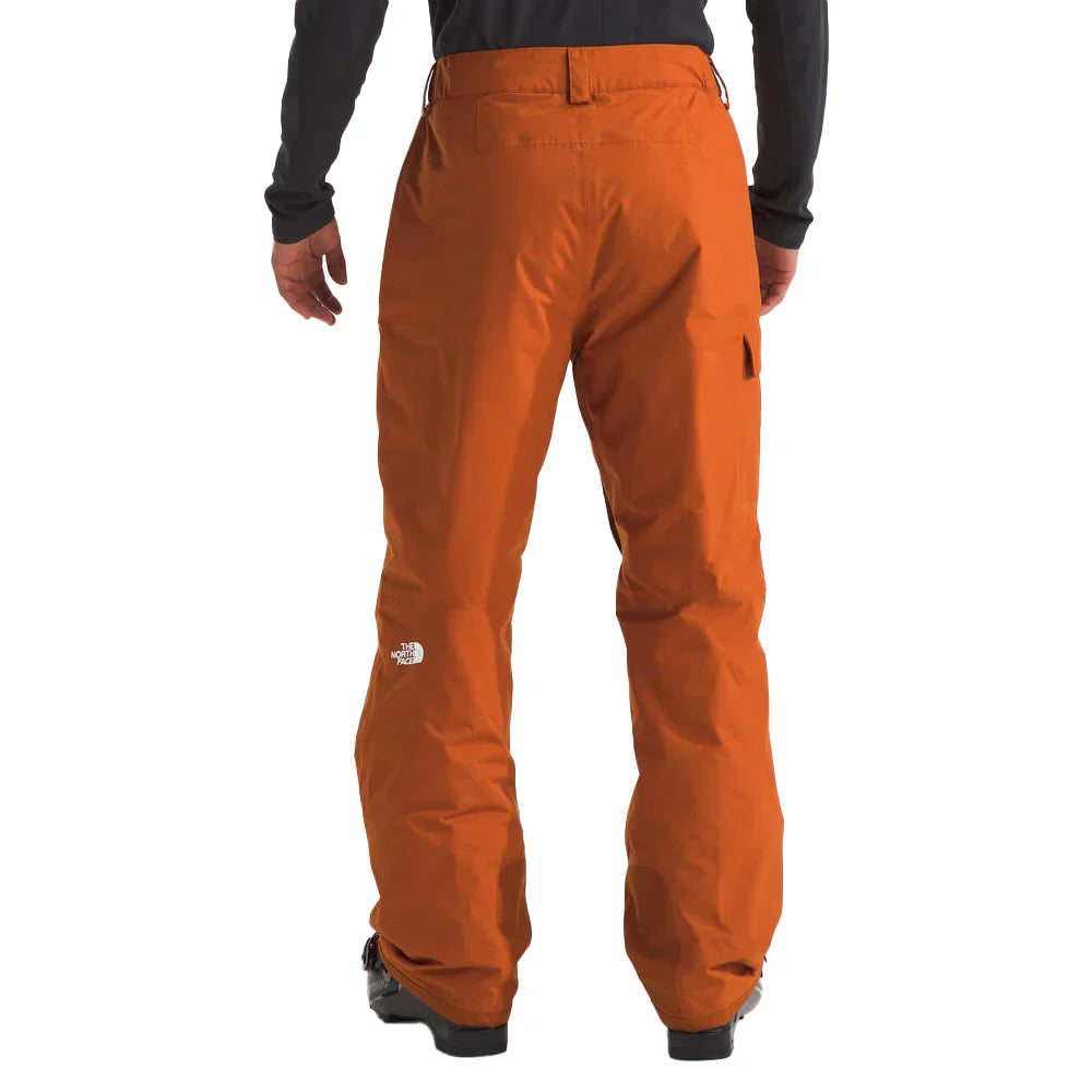 Pantalon de neige The North Face Freedom (hommes)