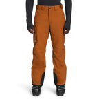 Pantalon de neige The North Face Freedom (hommes)