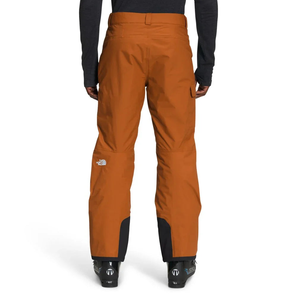 Pantalon de neige The North Face Freedom (hommes)