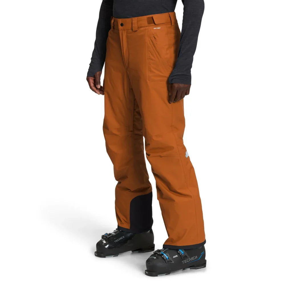 Pantalon de neige The North Face Freedom (hommes)