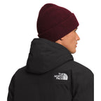 Manteau d'hiver The North Face McMurdo (hommes)