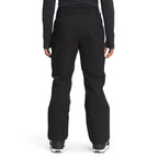Pantalon de neige The North Face Chakal (hommes)