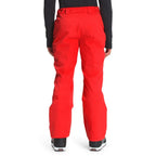 Pantalon de neige The North Face Chakal (hommes)