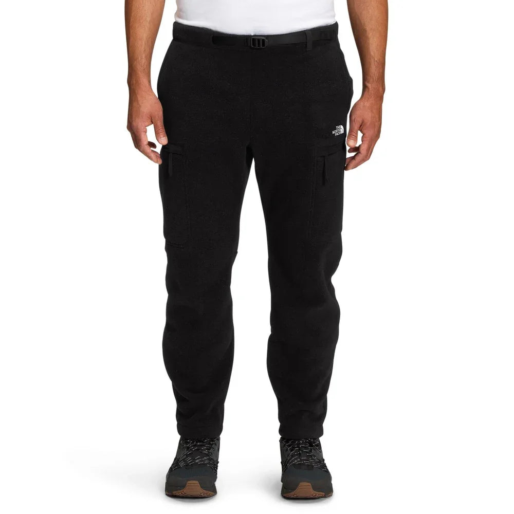 Pantalon The North Face Alpine Polartec 200 (hommes)