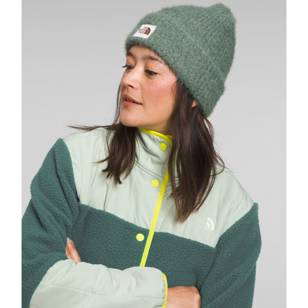 Tuque The North Face Salty Bae Lined