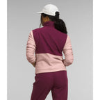 Chandail en laine polaire The North Face Alpine Polartec 100 1/4 Zip (femmes)