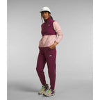 Chandail en laine polaire The North Face Alpine Polartec 100 1/4 Zip (femmes)