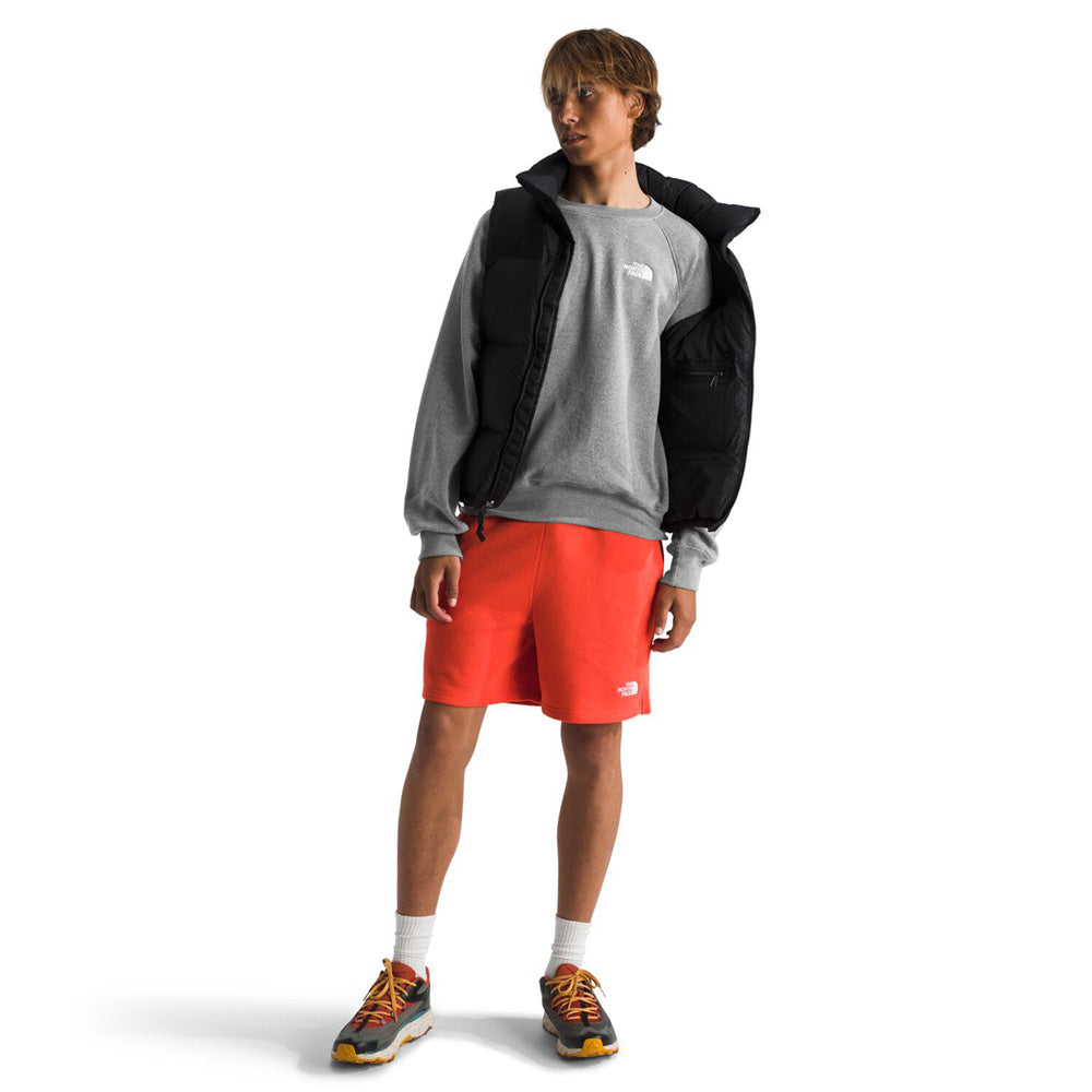 Chandail à manches longues The North Face Evolution (hommes)