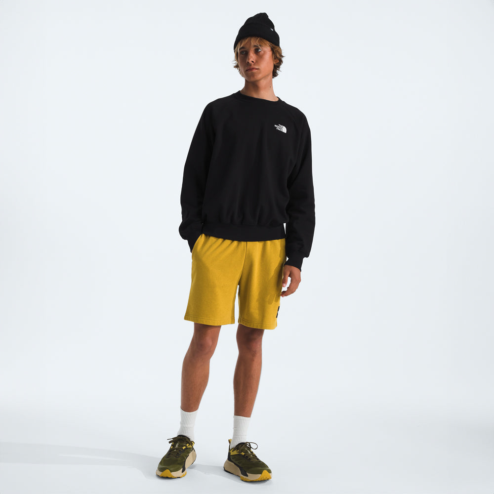 Chandail à manches longues The North Face Evolution (hommes)