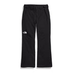 Pantalon The North Face Descendit (hommes)