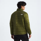Manteau The North face Terra Peak (hommes)