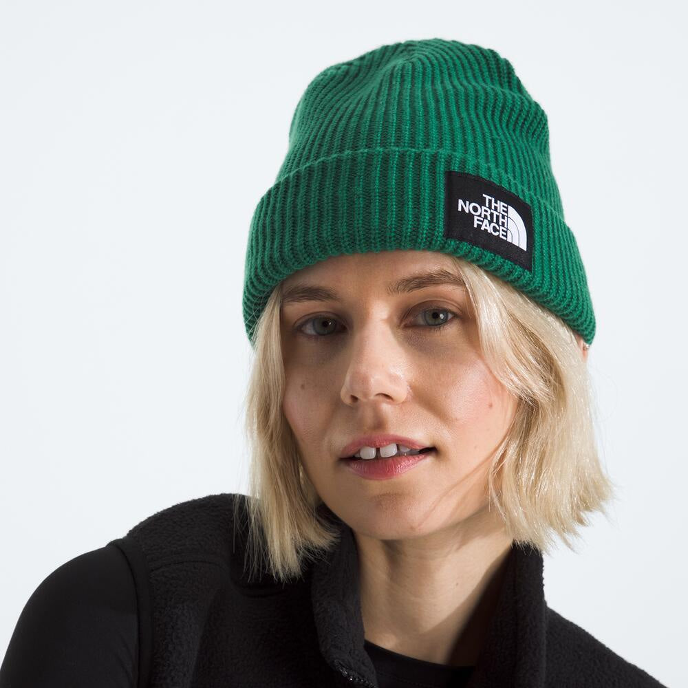 The North Face Salty Lined Beanie 2 Beanie