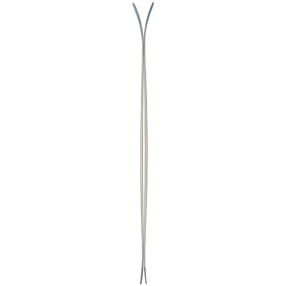 Skis alpins Nordica Santa Ana 93 (femmes)