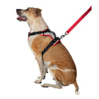 Harnais réfléchissant pour chien Nathan K9