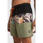 Short de bain O'Neill Cali Block Volley (hommes)