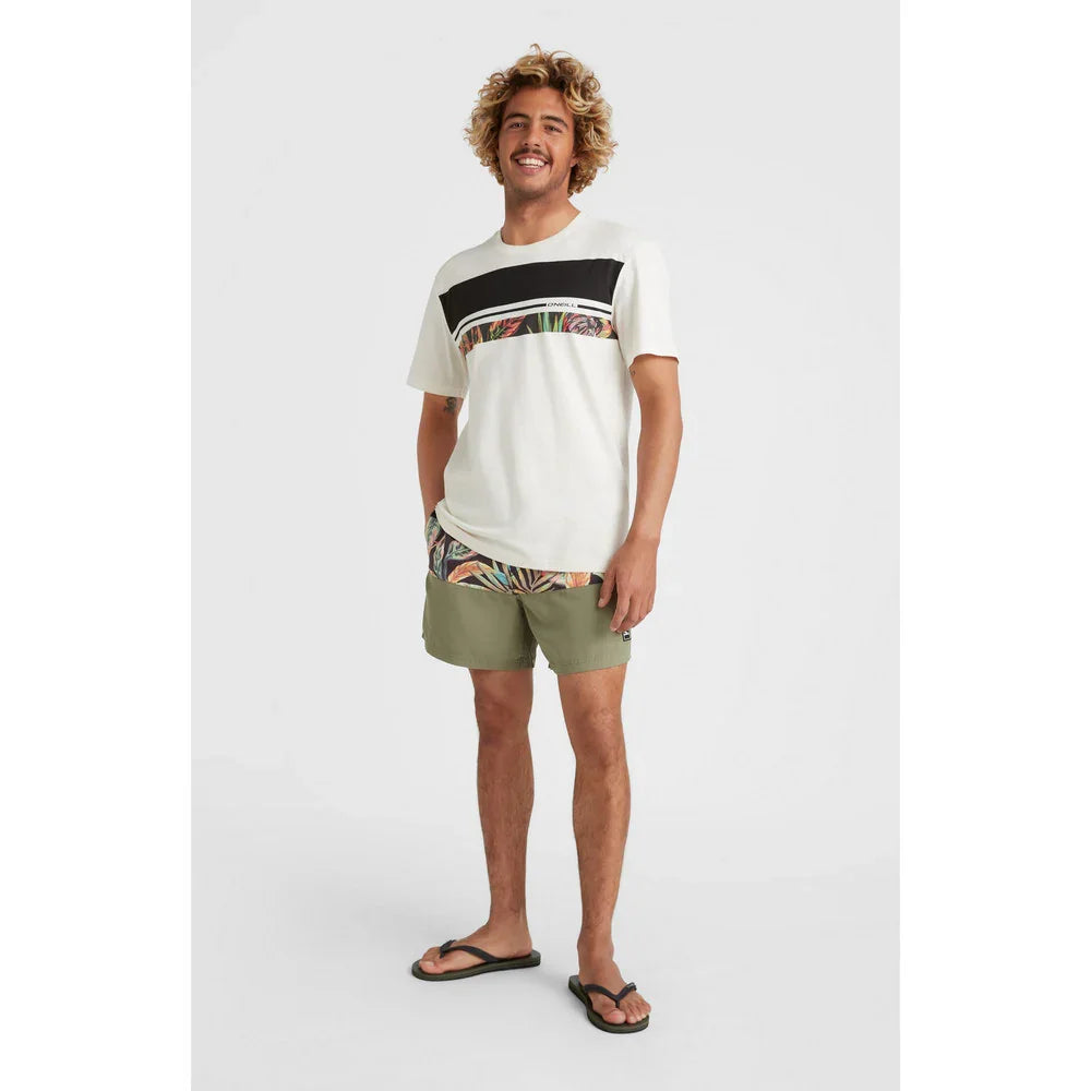 Short de bain O'Neill Cali Block Volley (hommes)