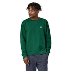 Chandail Patagonia Daily Crewneck (hommes)