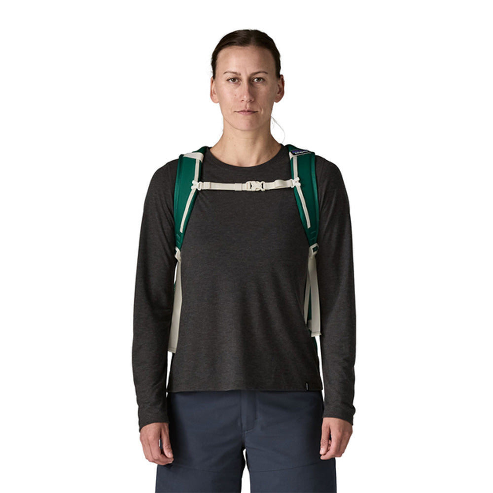 Sac à dos Patagonia Refugio Daypack 30 L