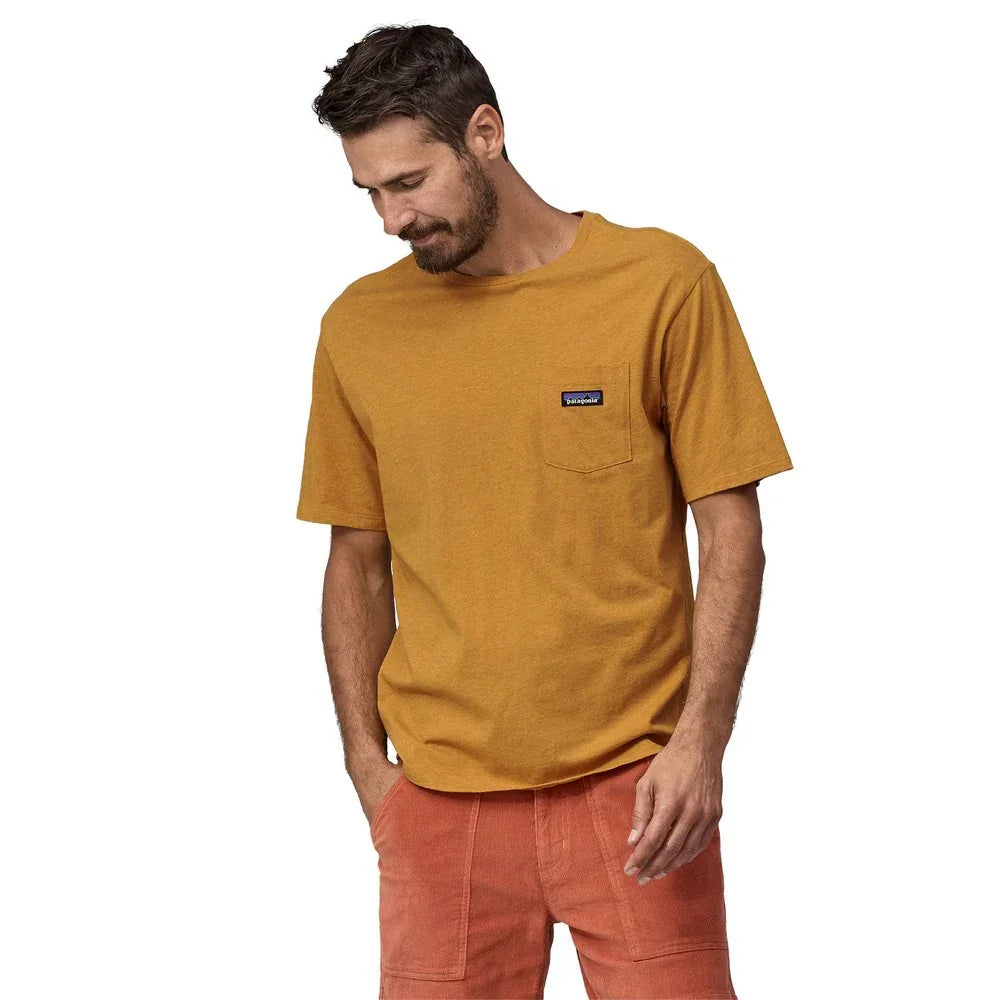 T-shirt Patagonia Regenerative Organic Certified Cotton (hommes)