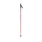 Rossignol Stove Box Alpine Ski Poles