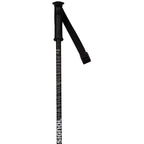 Rossignol W's Electra Alpine Ski Poles - Black