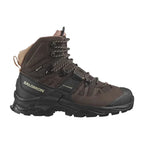 Bottes de randonnée Salomon Quest 4 GTX (femmes)