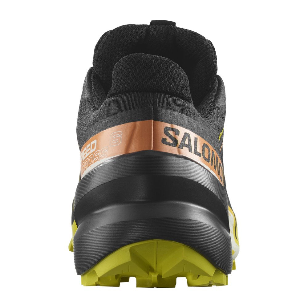 Souliers de course en sentier Salomon Speedcross 6 GTX (hommes)