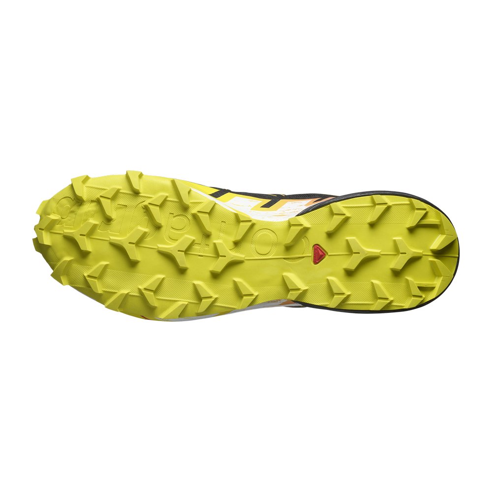 Souliers de course en sentier Salomon Speedcross 6 GTX (hommes)