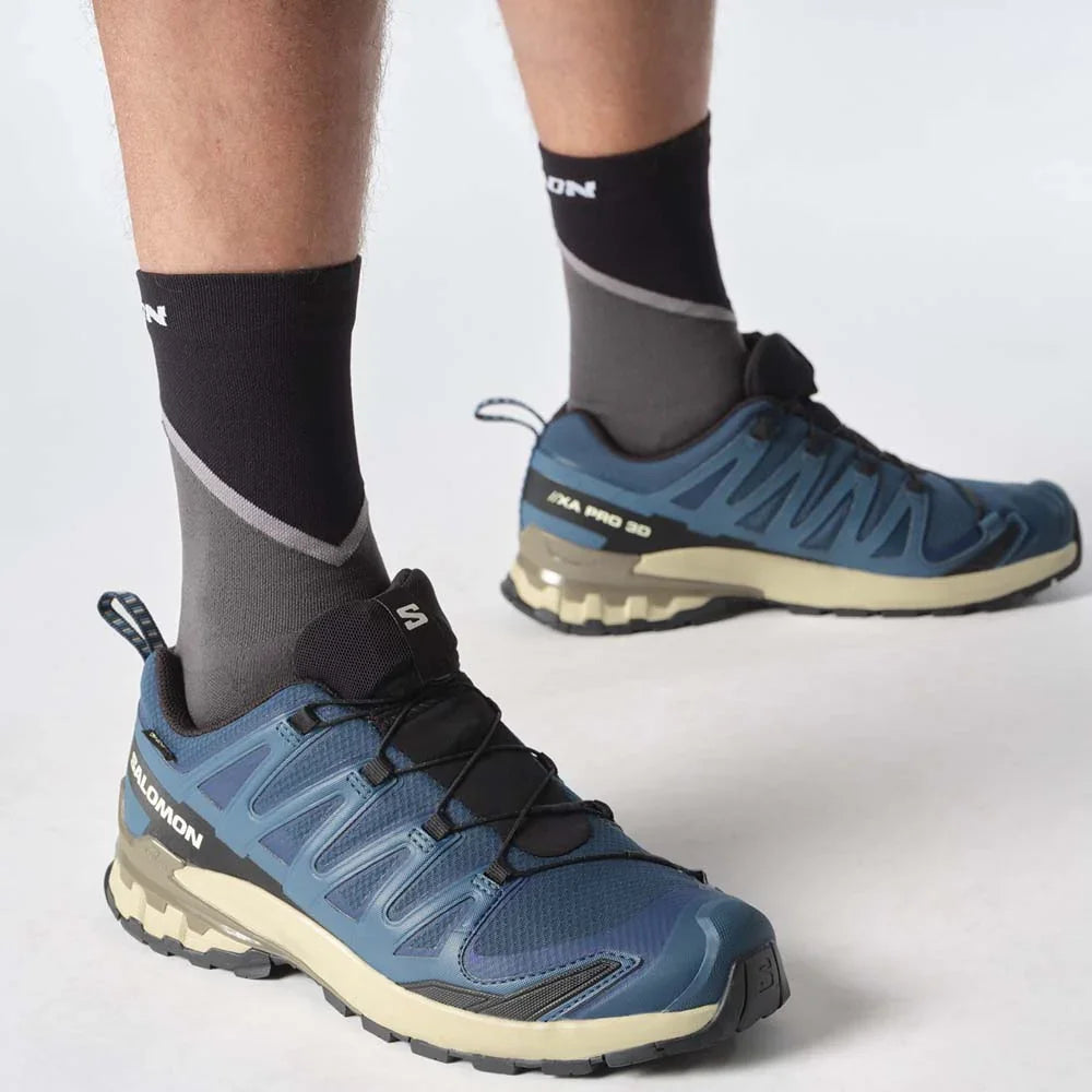 Souliers de course en sentier Salomon XA Pro 3D V9 Gore-Tex (hommes)