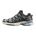 Souliers de course en sentier Salomon XA Pro 3D V9 Gore-Tex (hommes)