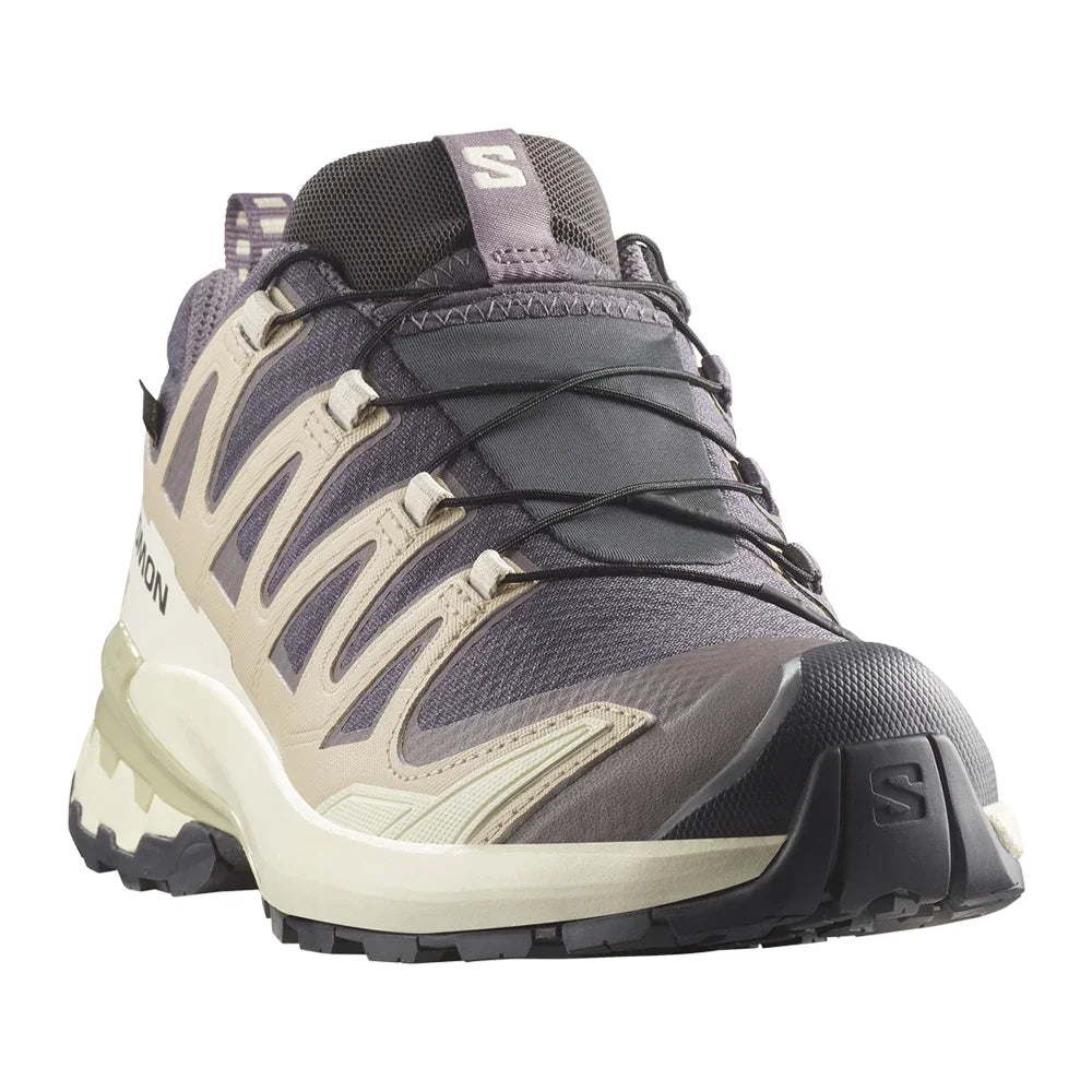 Souliers de course en sentier Salomon XA Pro 3D V9 Gore-Tex (femmes)