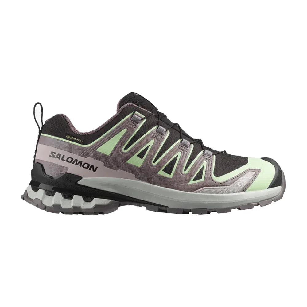 Souliers de course en sentier Salomon XA Pro 3D V9 Gore-Tex (femmes)