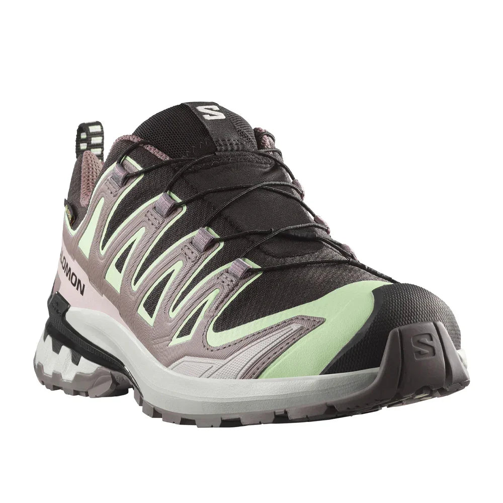 Souliers de course en sentier Salomon XA Pro 3D V9 Gore-Tex (femmes)